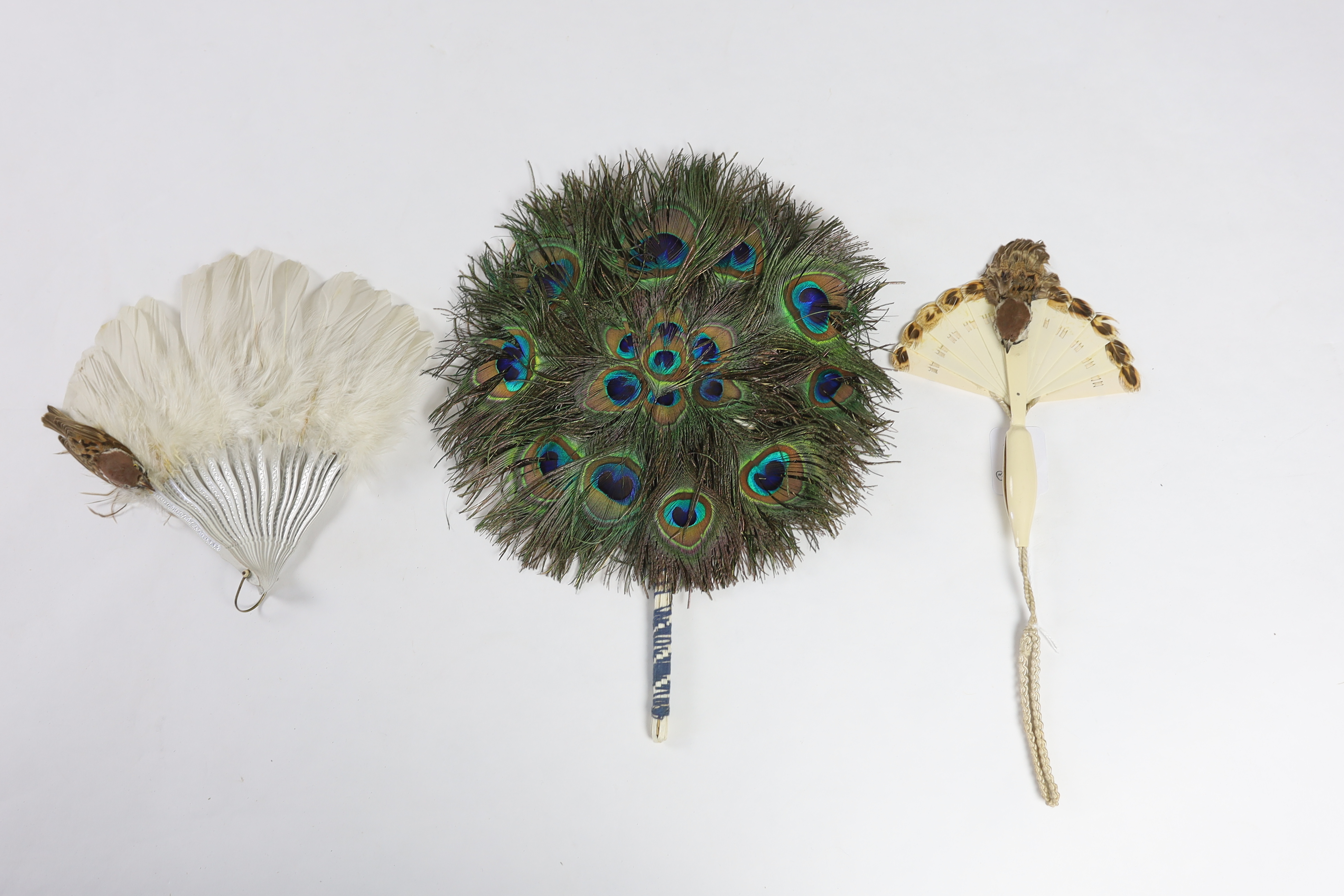 Two Edwardian early 1920’s feather fans with unusual bird decoration together with a peacock fan, one with cream Bakelite handle and guards, feather leaf and bird decoration, the other with silver painted guards, feather